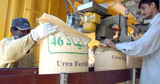 Urea and DAP sale remains higher